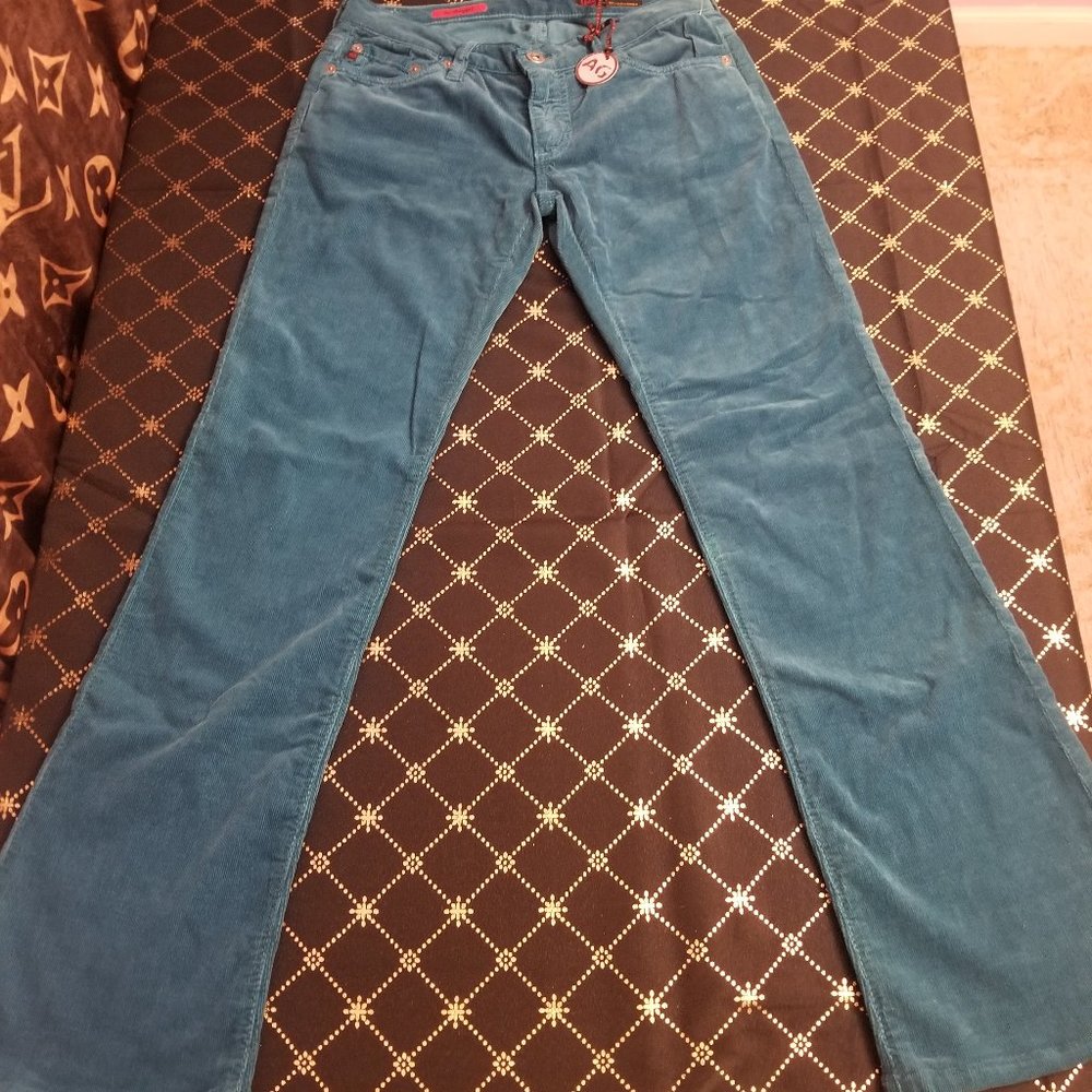 Adriano Goldschmied pants